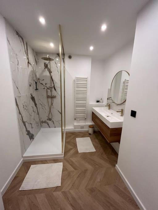 Appartement De Charme Hyper Centre Льо Ман Екстериор снимка